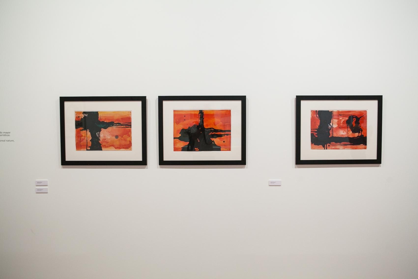 20150917_Exposición Rafaely-245